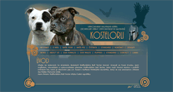 Desktop Screenshot of kostelorli.com